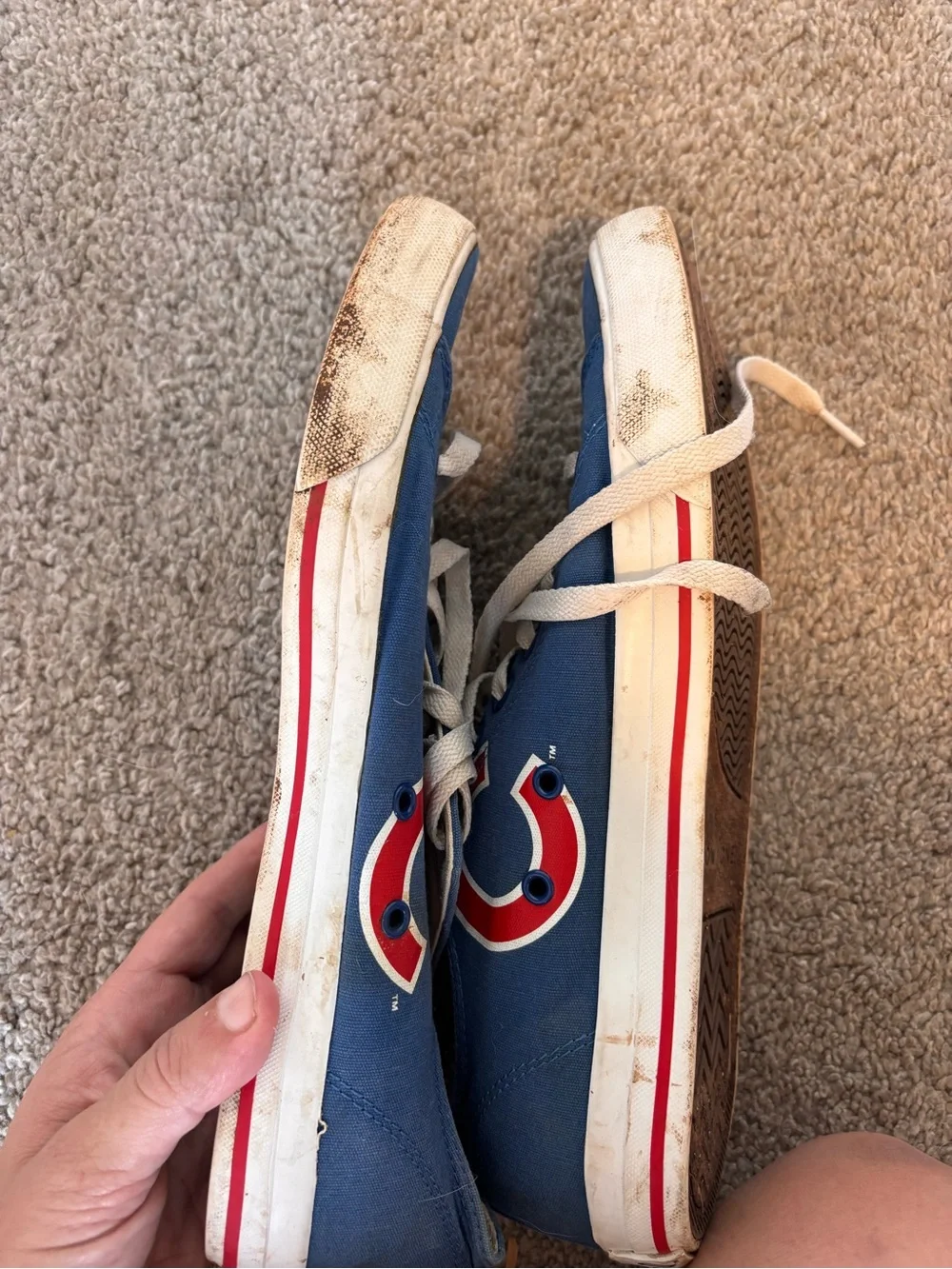 Men's Cubs Canvas Sneakers